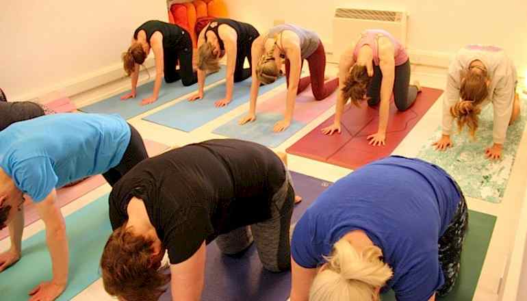 Class Style:
Yoga for Shoulders, Upper Back and Neck